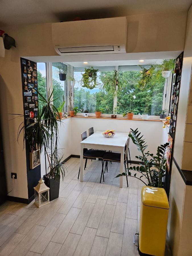 Apartman Carnevalus ริเยกา ภายนอก รูปภาพ
